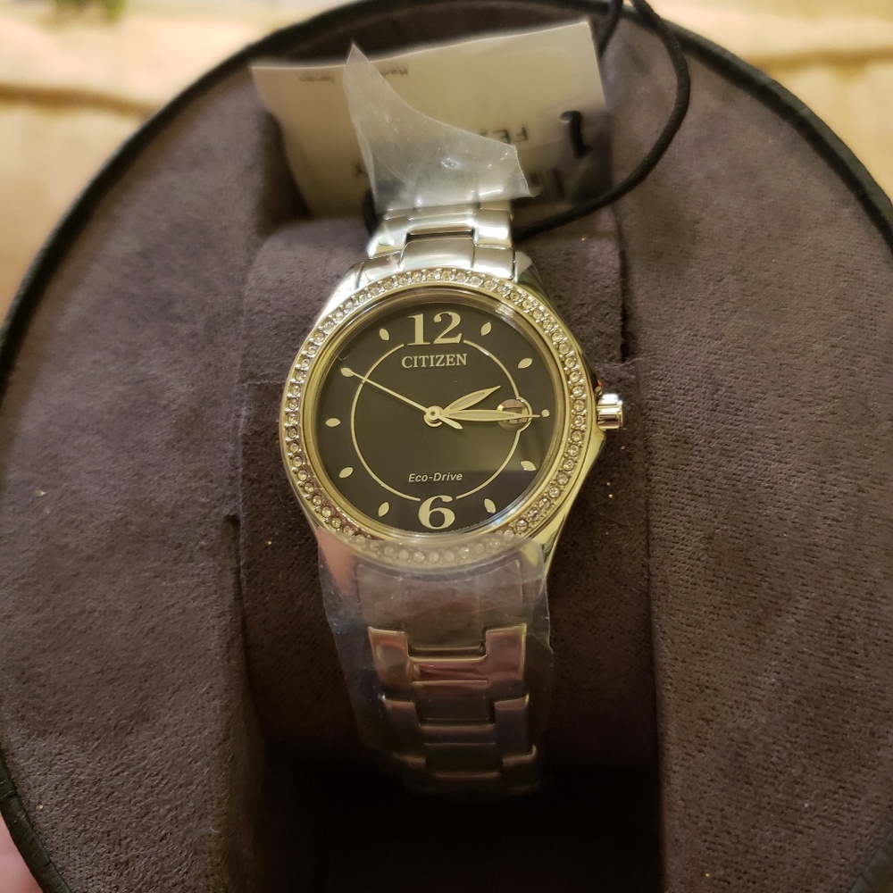 Citizen eco watch